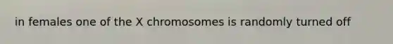 in females one of the X chromosomes is randomly turned off