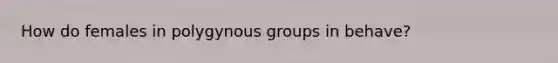 How do females in polygynous groups in behave?