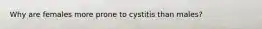 Why are females more prone to cystitis than males?