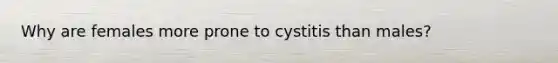 Why are females more prone to cystitis than males?