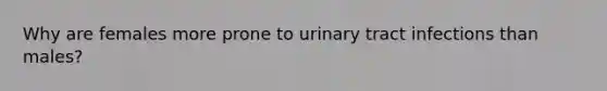 Why are females more prone to urinary tract infections than males?