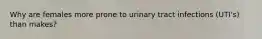 Why are females more prone to urinary tract infections (UTI's) than makes?