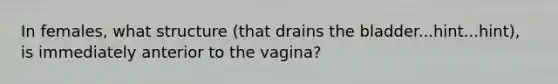 In females, what structure (that drains the bladder...hint...hint), is immediately anterior to the vagina?