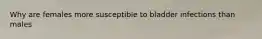 Why are females more susceptible to bladder infections than males