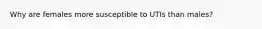 Why are females more susceptible to UTIs than males?