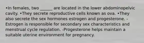 •In females, two ______ are located in the lower abdominopelvic cavity. •They secrete reproductive cells known as ova. •They also secrete the sex hormones estrogen and progesterone. -Estrogen is responsible for secondary sex characteristics and menstrual cycle regulation. -Progesterone helps maintain a suitable uterine environment for pregnancy.