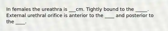 In females the ureathra is ___cm. Tightly bound to the _____. External urethral orifice is anterior to the ____ and posterior to the ____.