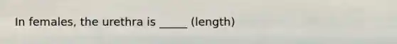 In females, the urethra is _____ (length)