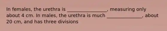 In females, the urethra is _________________, measuring only about 4 cm. In males, the urethra is much _______________, about 20 cm, and has three divisions