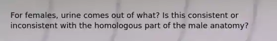 For females, urine comes out of what? Is this consistent or inconsistent with the homologous part of the male anatomy?