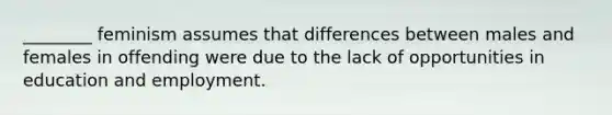 ________ feminism assumes that differences between males and females in offending were due to the lack of opportunities in education and employment.