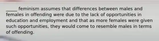 _____ feminism assumes that differences between males and females in offending were due to the lack of opportunities in education and employment and that as more females were given such opportunities, they would come to resemble males in terms of offending.