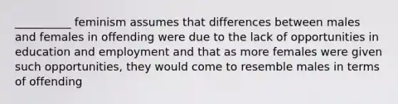 __________ feminism assumes that differences between males and females in offending were due to the lack of opportunities in education and employment and that as more females were given such opportunities, they would come to resemble males in terms of offending