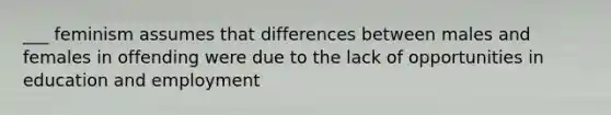 ___ feminism assumes that differences between males and females in offending were due to the lack of opportunities in education and employment