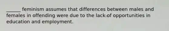 ______ feminism assumes that differences between males and females in offending were due to the lack of opportunities in education and employment.