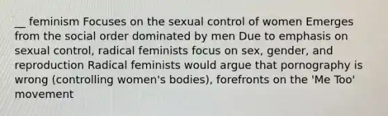 __ feminism Focuses on the sexual control of women Emerges from the social order dominated by men Due to emphasis on sexual control, radical feminists focus on sex, gender, and reproduction Radical feminists would argue that pornography is wrong (controlling women's bodies), forefronts on the 'Me Too' movement