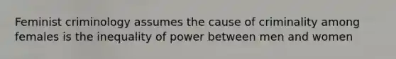 Feminist criminology assumes the cause of criminality among females is the inequality of power between men and women