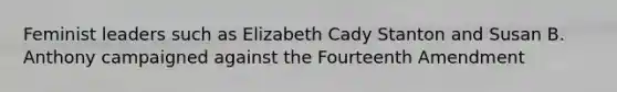 Feminist leaders such as Elizabeth Cady Stanton and Susan B. Anthony campaigned against the Fourteenth Amendment