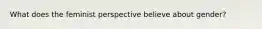 What does the feminist perspective believe about gender?