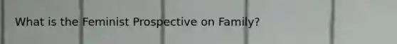 What is the Feminist Prospective on Family?