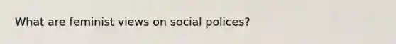 What are feminist views on social polices?