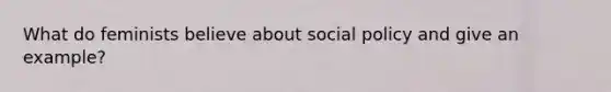 What do feminists believe about social policy and give an example?