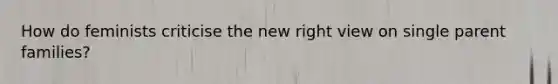 How do feminists criticise the new right view on single parent families?