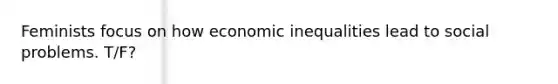 Feminists focus on how economic inequalities lead to social problems. T/F?