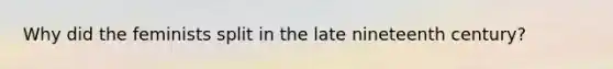 Why did the feminists split in the late nineteenth century?