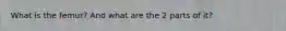 What is the femur? And what are the 2 parts of it?
