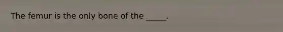 The femur is the only bone of the _____.