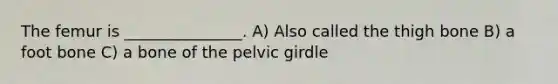 The femur is _______________. A) Also called the thigh bone B) a foot bone C) a bone of the pelvic girdle