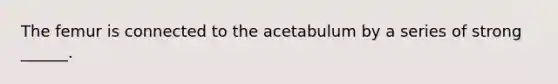 The femur is connected to the acetabulum by a series of strong ______.