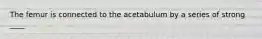 The femur is connected to the acetabulum by a series of strong ____