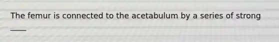 The femur is connected to the acetabulum by a series of strong ____