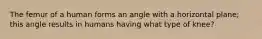 The femur of a human forms an angle with a horizontal plane; this angle results in humans having what type of knee?