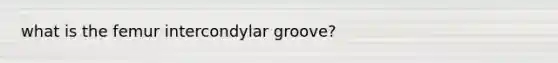 what is the femur intercondylar groove?