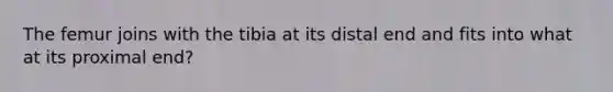 The femur joins with the tibia at its distal end and fits into what at its proximal end?