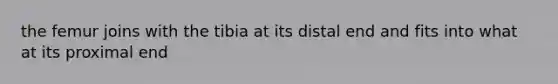 the femur joins with the tibia at its distal end and fits into what at its proximal end
