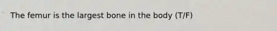 The femur is the largest bone in the body (T/F)