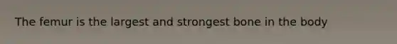 The femur is the largest and strongest bone in the body