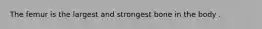 The femur is the largest and strongest bone in the body .