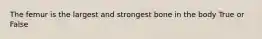 The femur is the largest and strongest bone in the body True or False