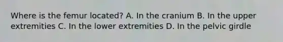 Where is the femur​ located? A. In the cranium B. In the upper extremities C. In the lower extremities D. In the pelvic girdle