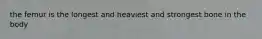 the femur is the longest and heaviest and strongest bone in the body