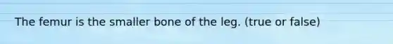 The femur is the smaller bone of the leg. (true or false)