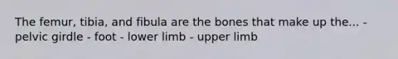 The femur, tibia, and fibula are the bones that make up the... - <a href='https://www.questionai.com/knowledge/k9xWFjlOIm-pelvic-girdle' class='anchor-knowledge'>pelvic girdle</a> - foot - <a href='https://www.questionai.com/knowledge/kF4ILRdZqC-lower-limb' class='anchor-knowledge'>lower limb</a> - <a href='https://www.questionai.com/knowledge/kJyXBSF4I2-upper-limb' class='anchor-knowledge'>upper limb</a>