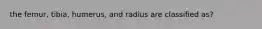 the femur, tibia, humerus, and radius are classified as?