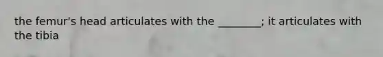 the femur's head articulates with the ________; it articulates with the tibia
