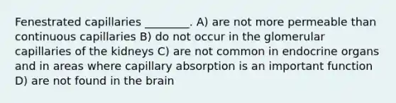 Fenestrated capillaries ________. A) are not more permeable than continuous capillaries B) do not occur in the glomerular capillaries of the kidneys C) are not common in endocrine organs and in areas where capillary absorption is an important function D) are not found in the brain